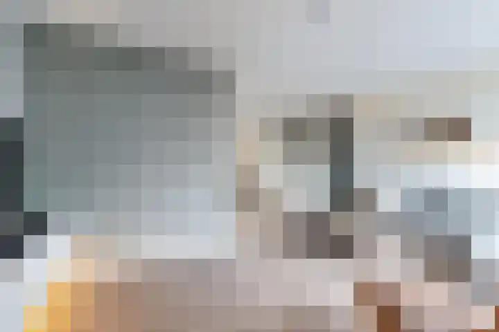 Sterappel 14 Fijnaart thumbnail 14