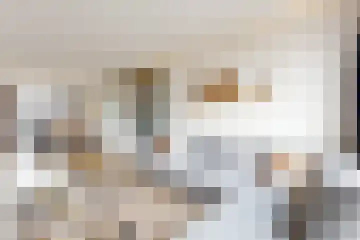 Sterappel 14 Fijnaart thumbnail 16
