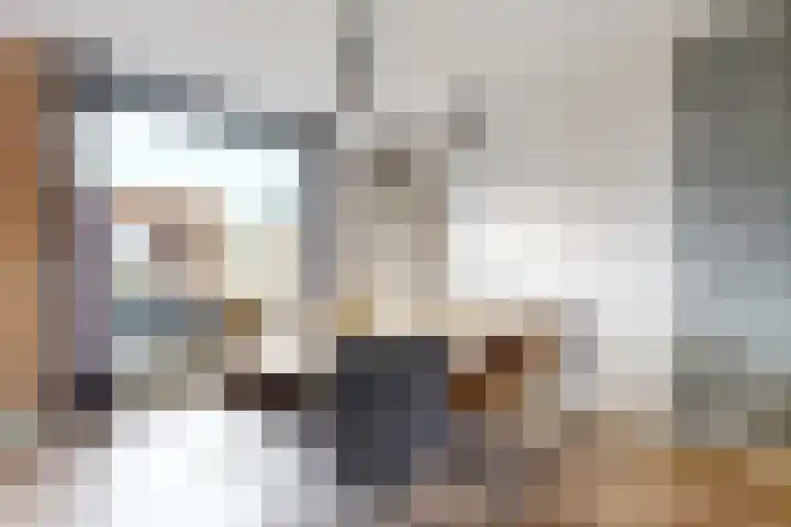 Sterappel 14 Fijnaart thumbnail 19