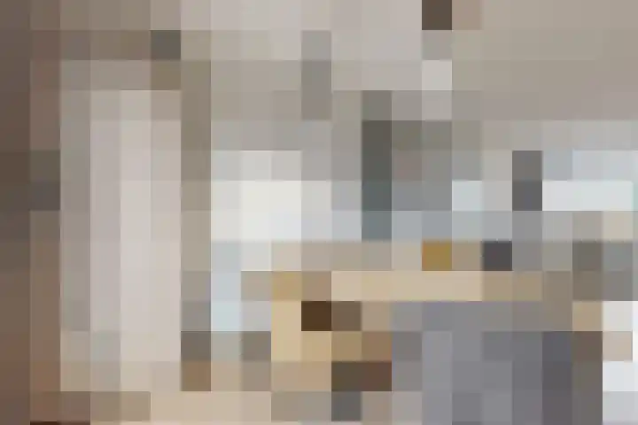 Sterappel 14 Fijnaart thumbnail 20