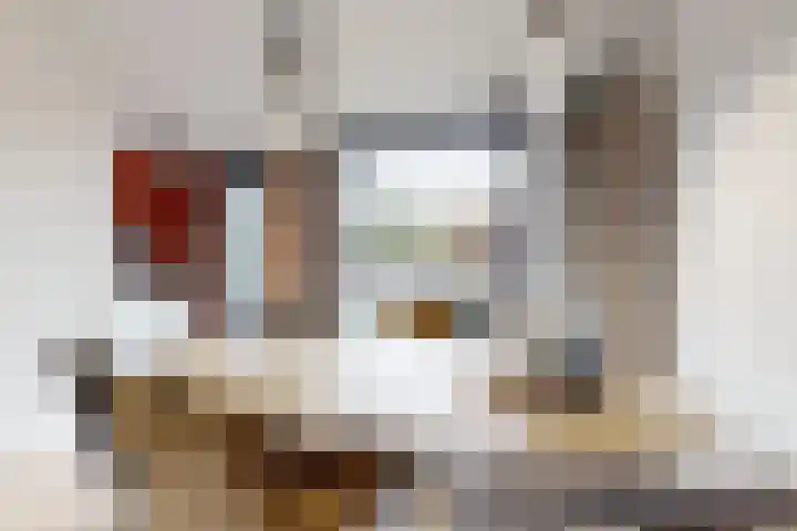 Sterappel 14 Fijnaart thumbnail 21