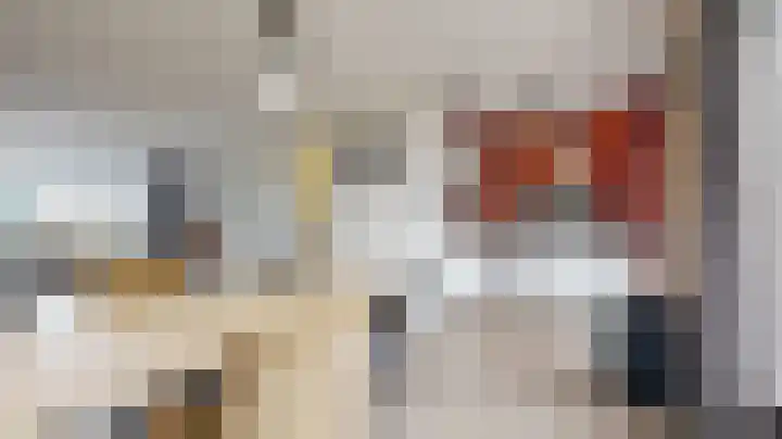 Sterappel 14 Fijnaart thumbnail 22