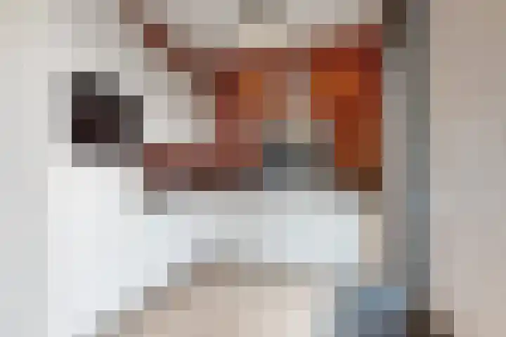 Sterappel 14 Fijnaart thumbnail 23