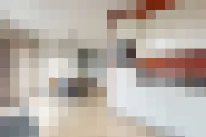 Sterappel 14 Fijnaart thumbnail 26