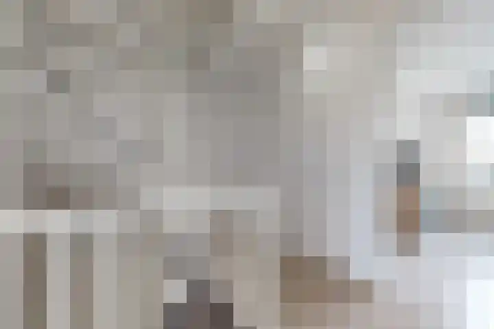Sterappel 14 Fijnaart thumbnail 29