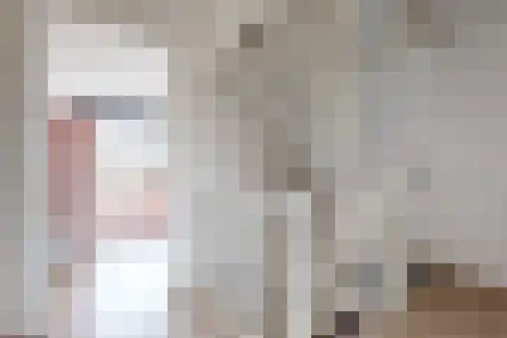 Sterappel 14 Fijnaart thumbnail 30
