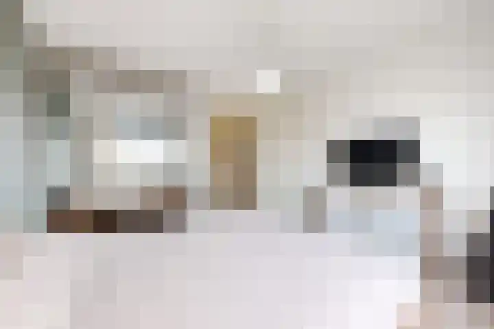 Sterappel 14 Fijnaart thumbnail 31