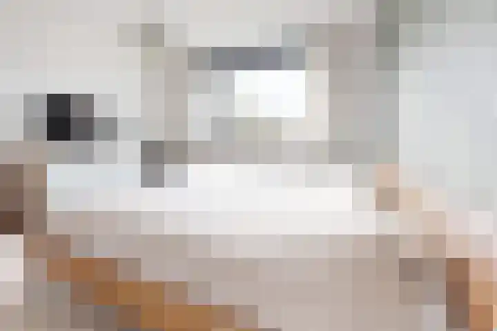 Sterappel 14 Fijnaart thumbnail 33