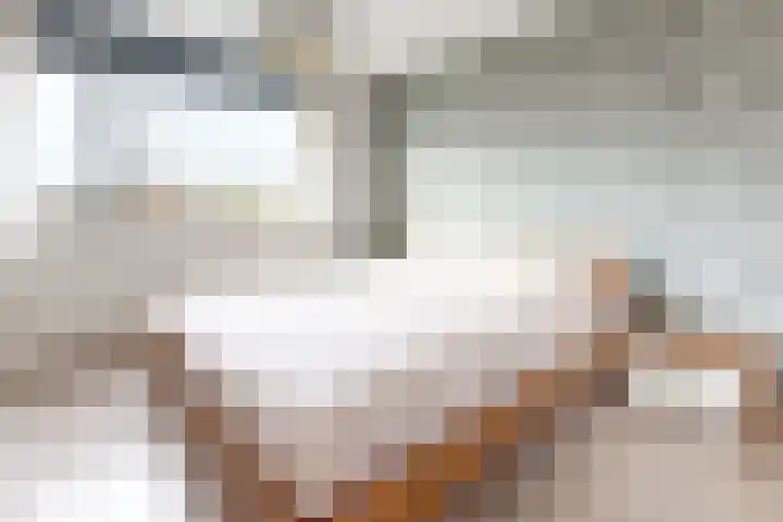Sterappel 14 Fijnaart thumbnail 34
