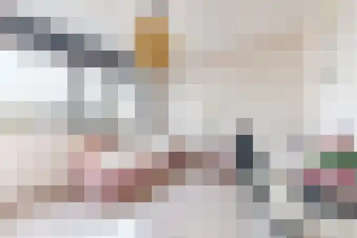 Sterappel 14 Fijnaart thumbnail 38
