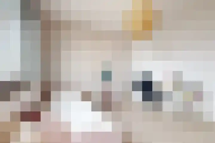 Sterappel 14 Fijnaart thumbnail 39