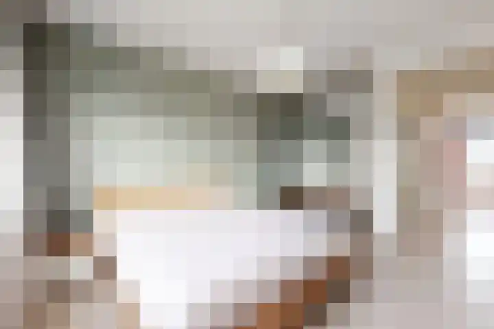 Sterappel 14 Fijnaart thumbnail 4