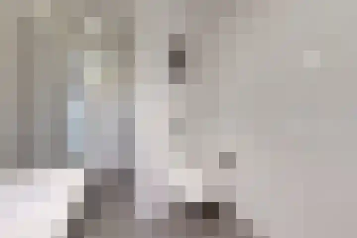 Sterappel 14 Fijnaart thumbnail 41
