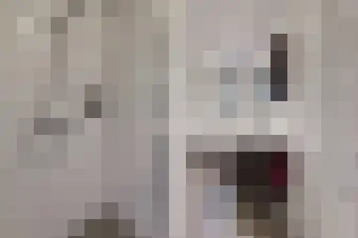 Sterappel 14 Fijnaart thumbnail 42