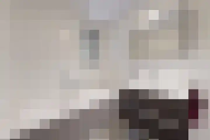 Sterappel 14 Fijnaart thumbnail 43