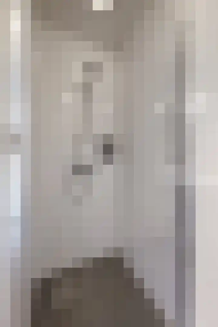 Sterappel 14 Fijnaart thumbnail 44