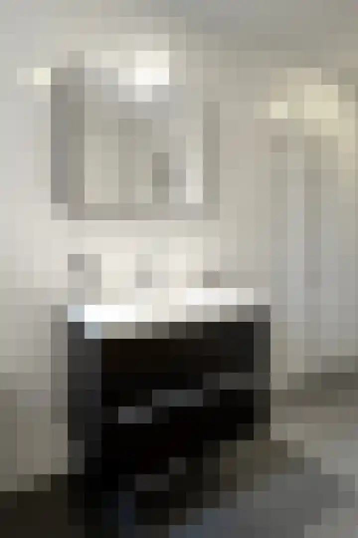 Sterappel 14 Fijnaart thumbnail 45