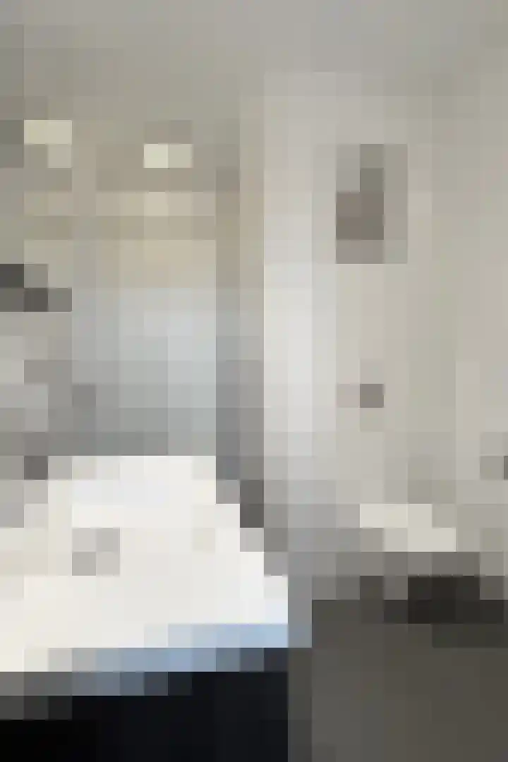 Sterappel 14 Fijnaart thumbnail 46