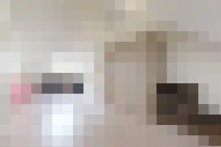 Sterappel 14 Fijnaart thumbnail 48