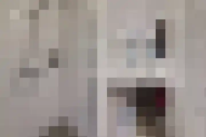 Sterappel 14 Fijnaart thumbnail 5