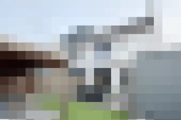 Sterappel 14 Fijnaart thumbnail 54