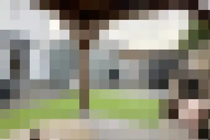 Sterappel 14 Fijnaart thumbnail 56