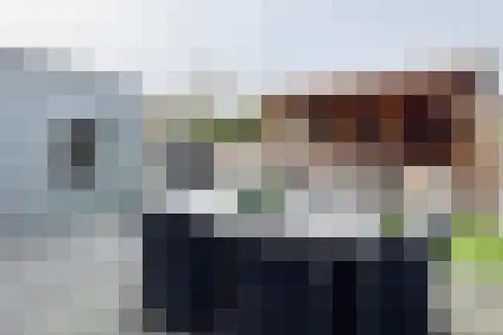 Sterappel 14 Fijnaart thumbnail 6
