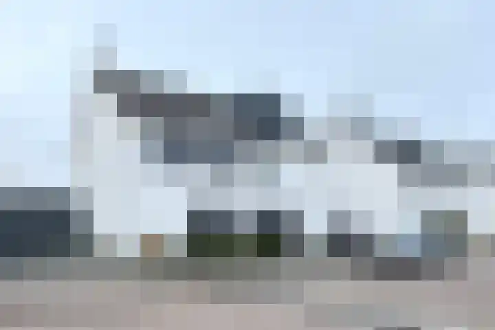 Sterappel 14 Fijnaart thumbnail 60