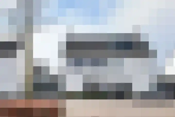 Sterappel 14 Fijnaart thumbnail 61