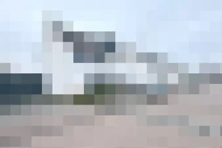Sterappel 14 Fijnaart thumbnail 63