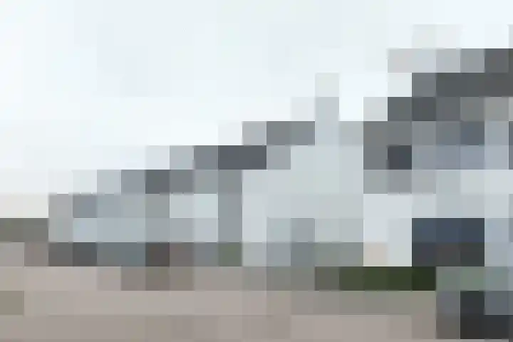 Sterappel 14 Fijnaart thumbnail 64