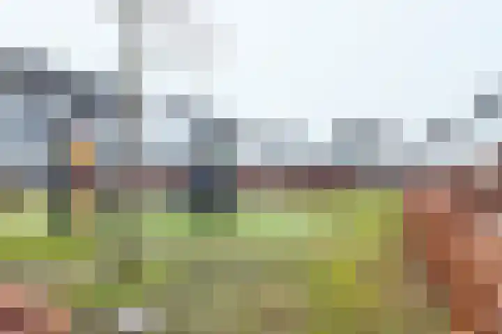Sterappel 14 Fijnaart thumbnail 66