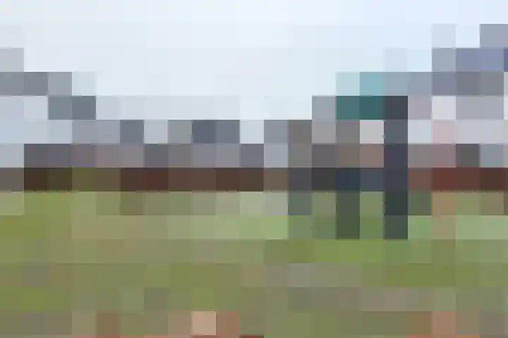 Sterappel 14 Fijnaart thumbnail 67
