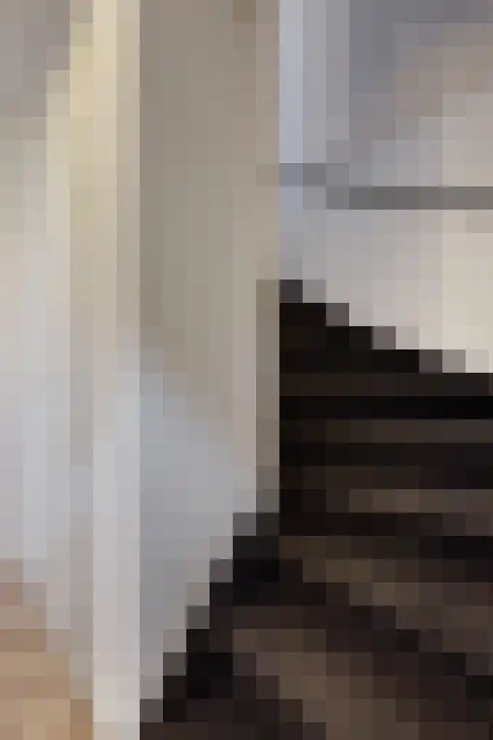 Sterappel 14 Fijnaart thumbnail 8