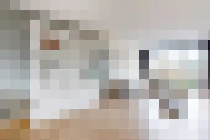 Sterappel 14 Fijnaart thumbnail 9