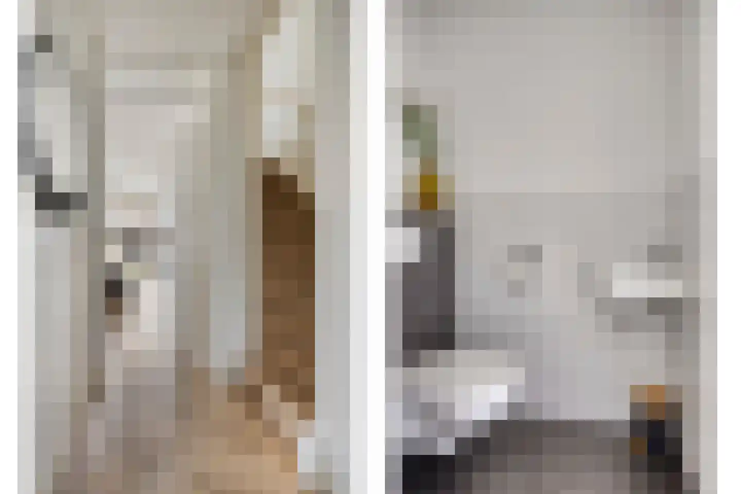 Sterappel 14 Lith thumbnail 10