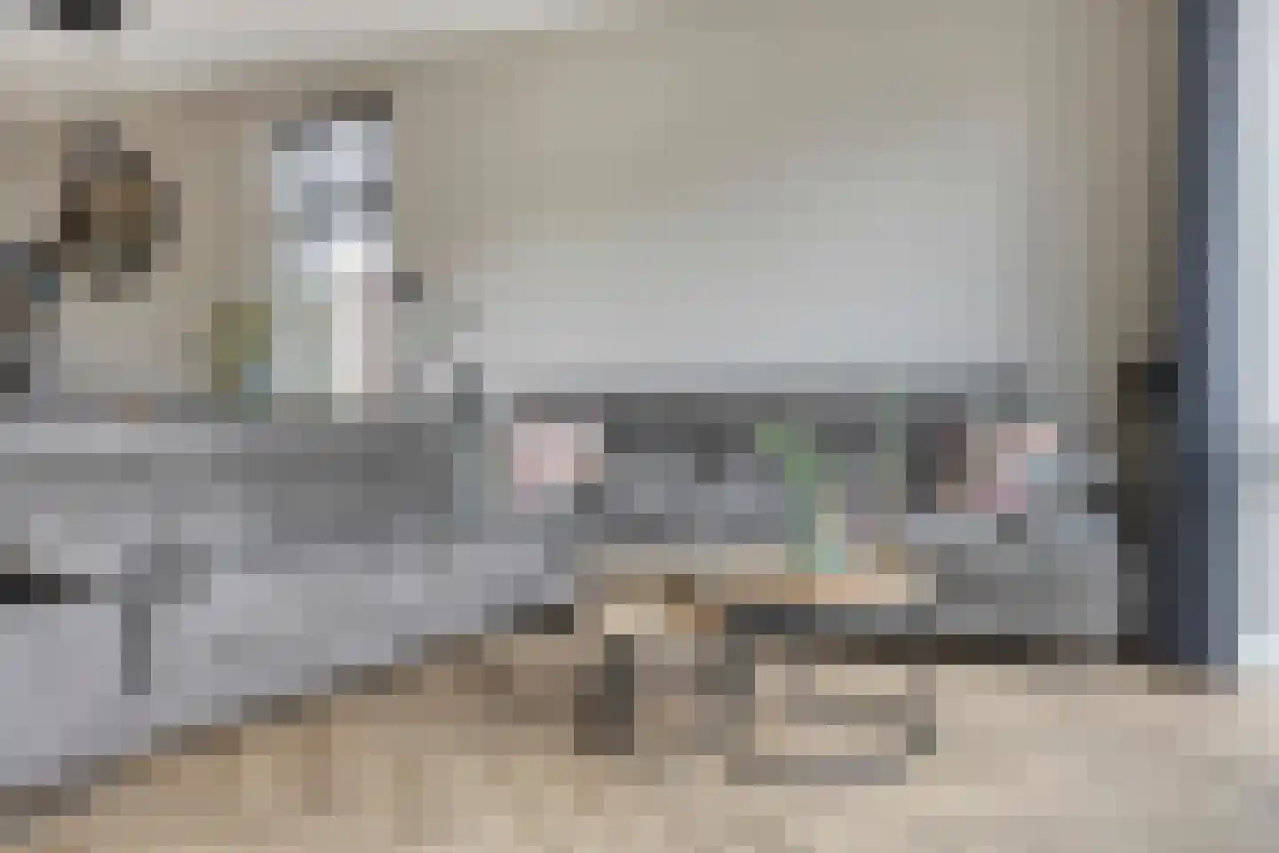 Sterappel 14 Lith thumbnail 13