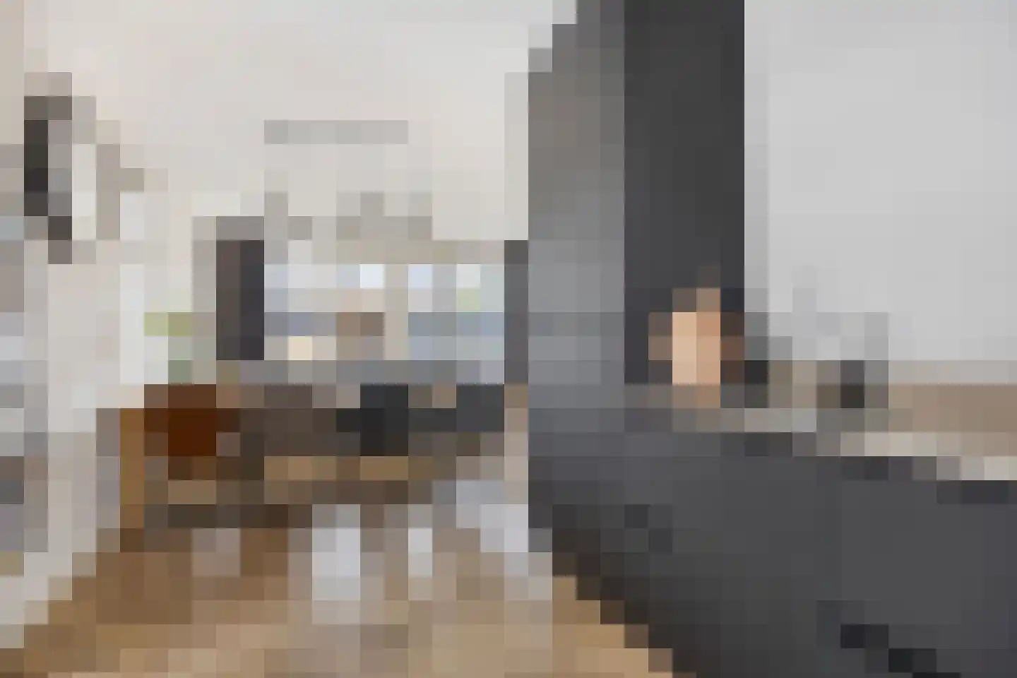 Sterappel 14 Lith thumbnail 20