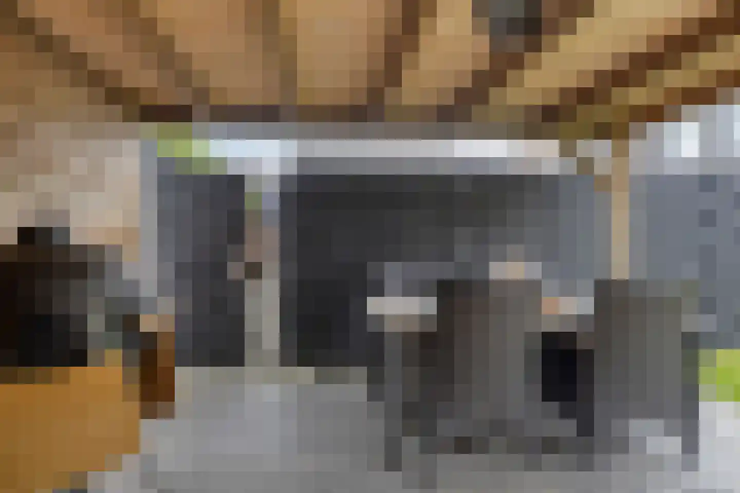 Sterappel 14 Lith thumbnail 24