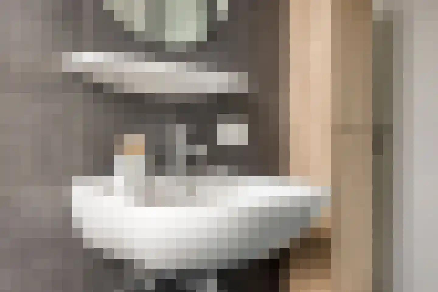 Sterappel 14 Lith thumbnail 29