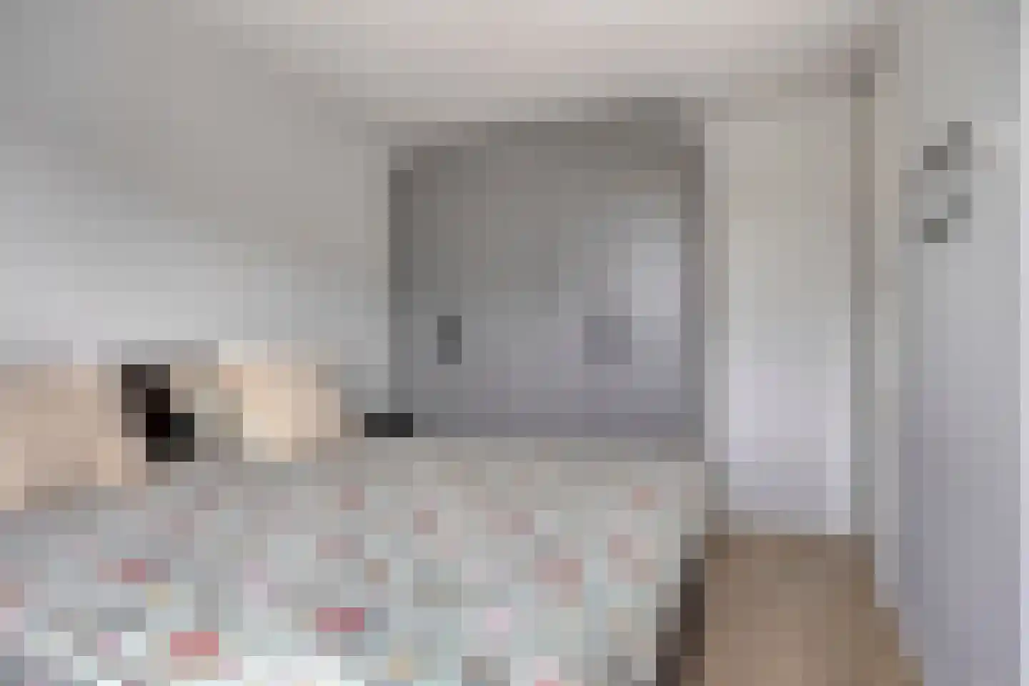 Sterappel 14 Lith thumbnail 31