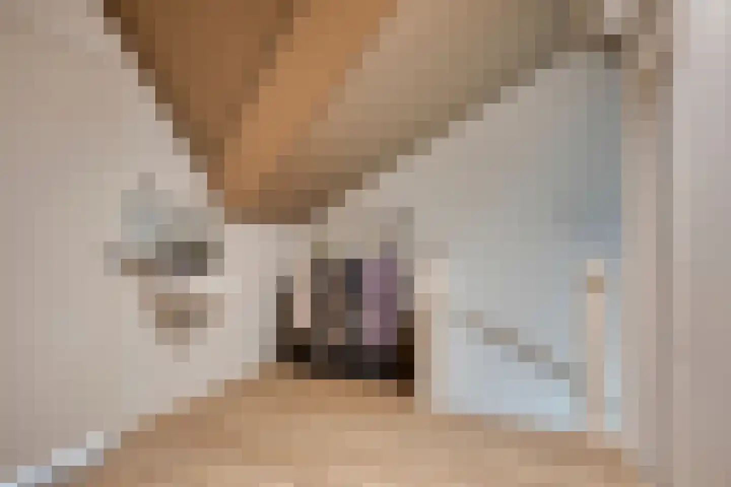 Sterappel 14 Lith thumbnail 37