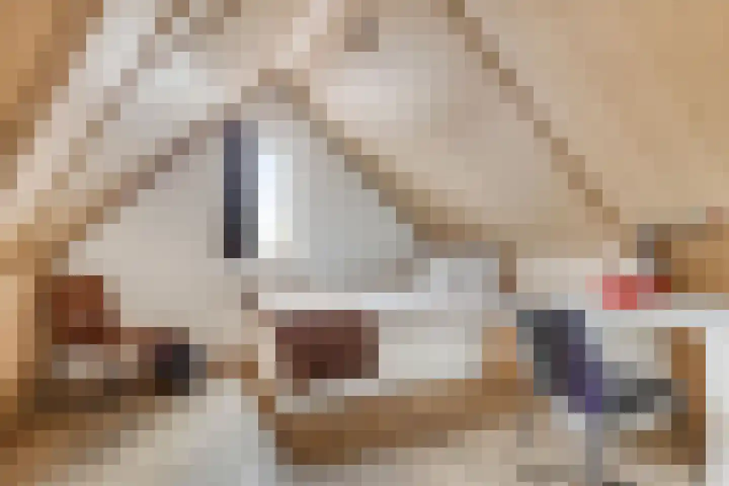 Sterappel 14 Lith thumbnail 38