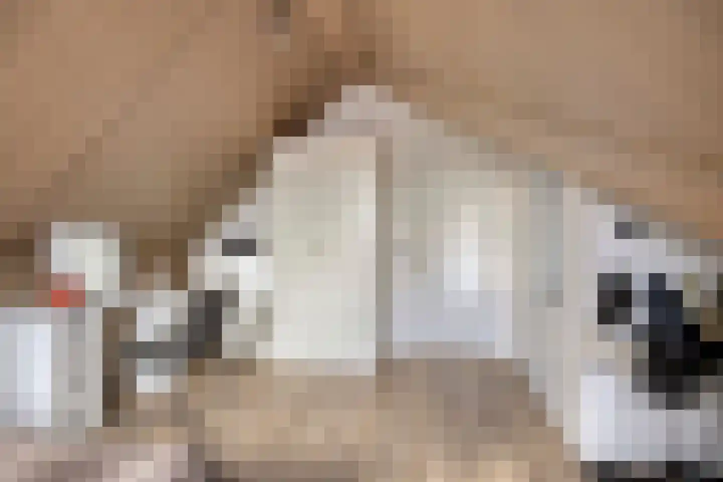 Sterappel 14 Lith thumbnail 39