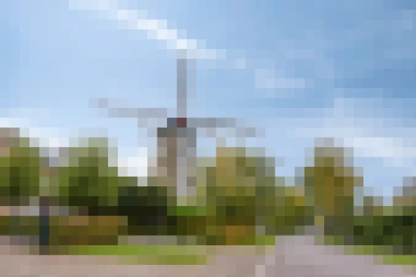 Sterappel 14 Lith thumbnail 41