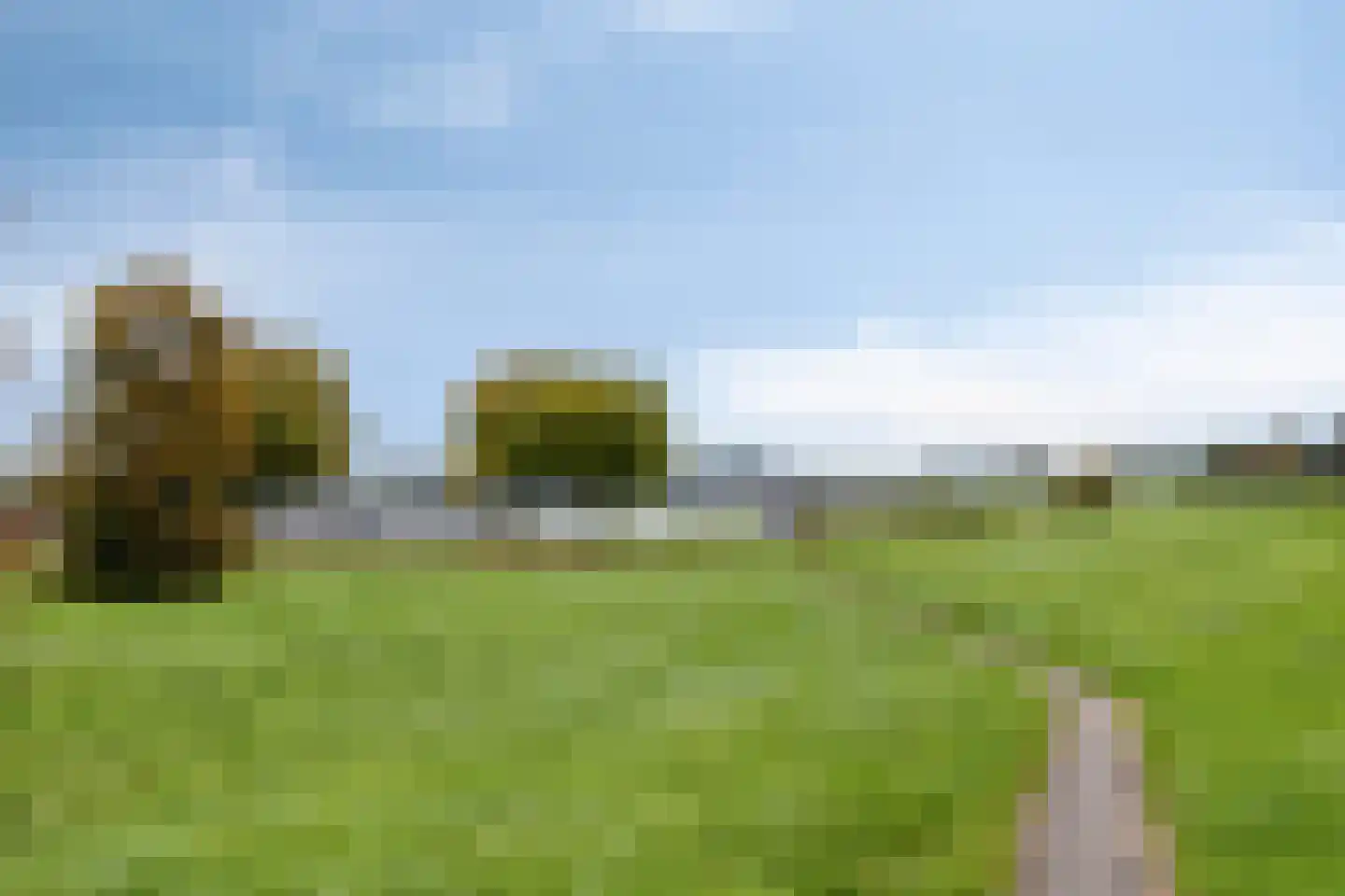 Sterappel 14 Lith thumbnail 42