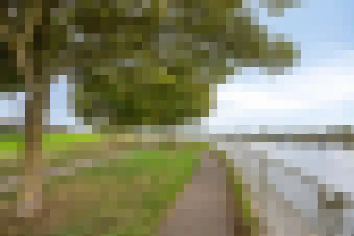Sterappel 14 Lith thumbnail 43