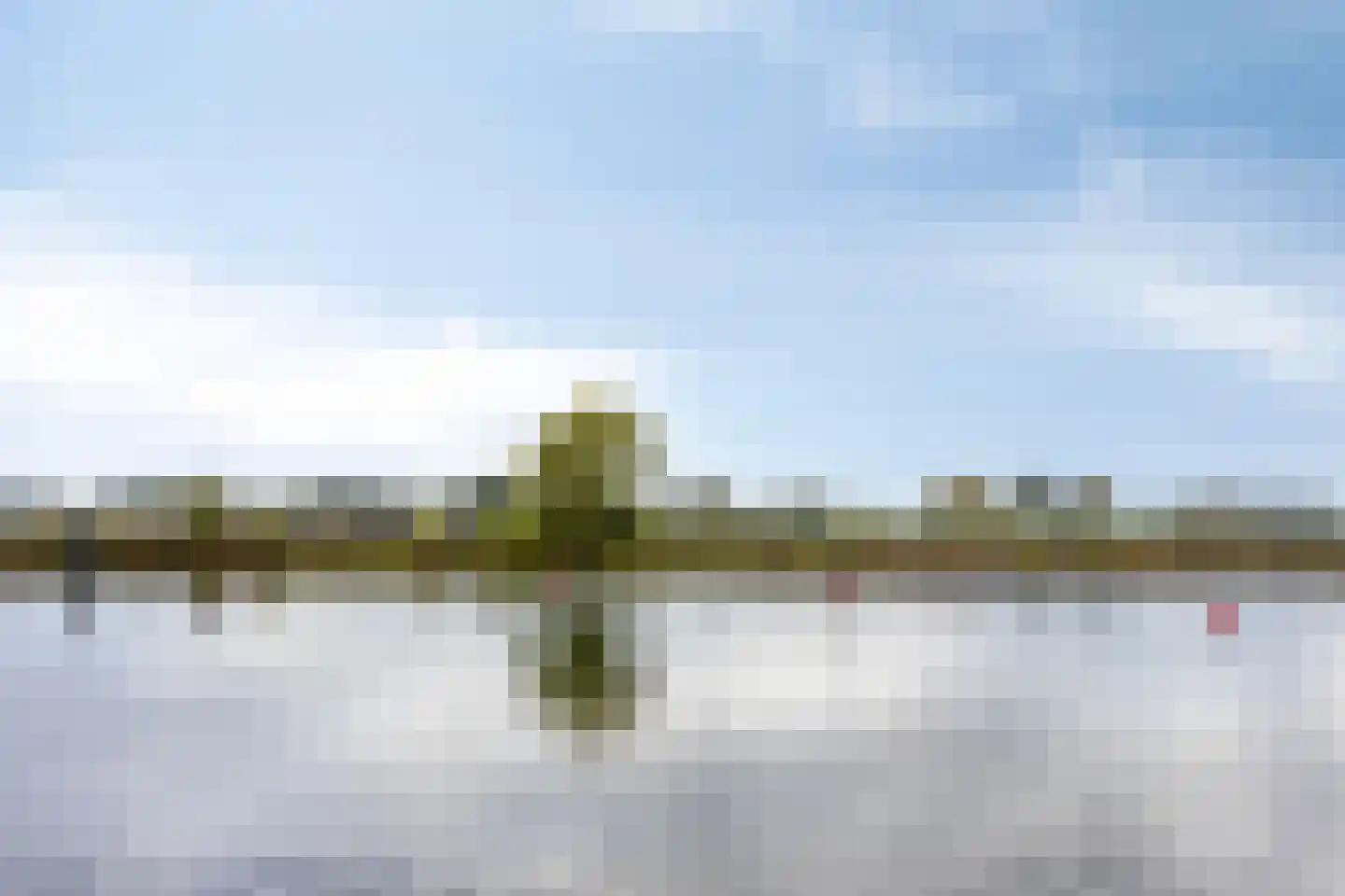 Sterappel 14 Lith thumbnail 44