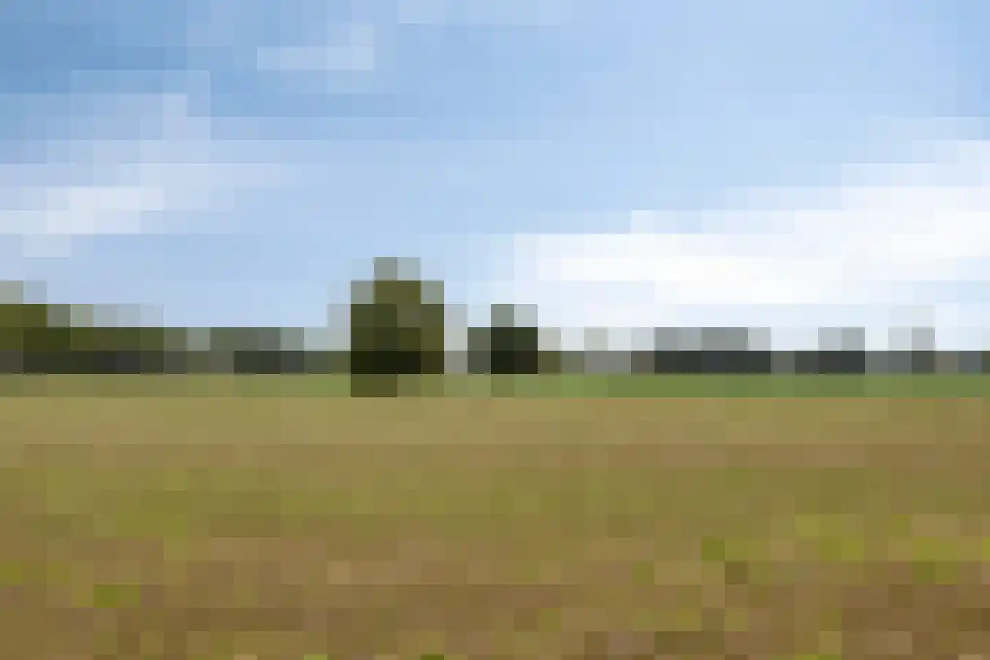 Sterappel 14 Lith thumbnail 45