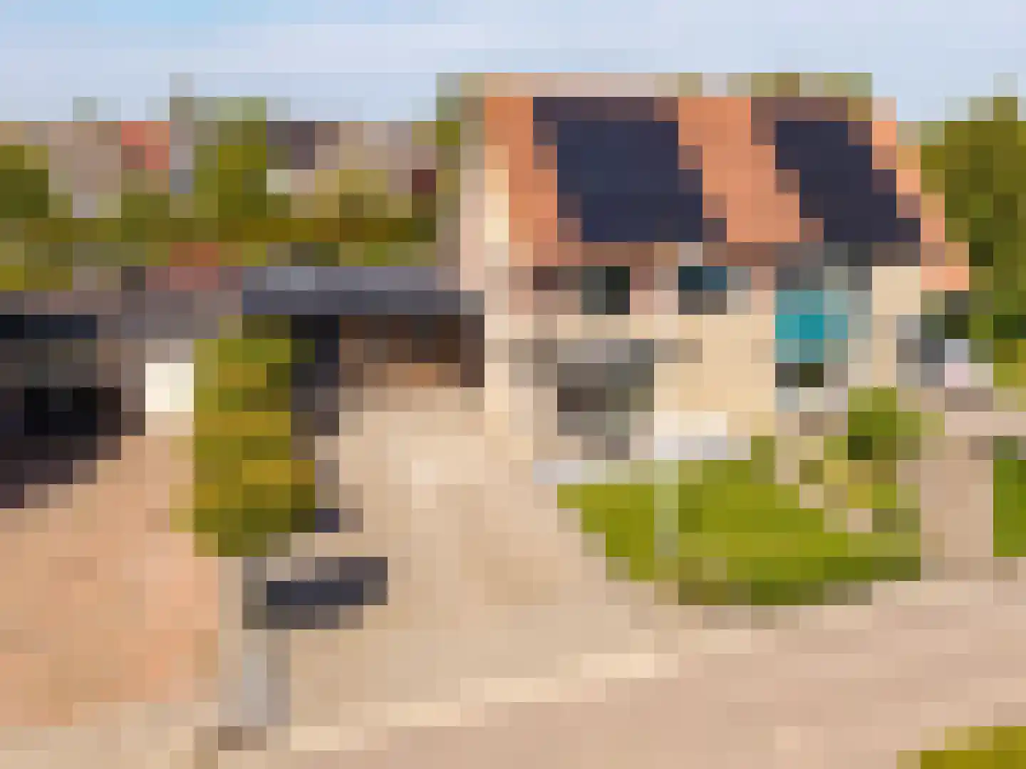 Sterappel 14 St.-Annaparochie thumbnail 13